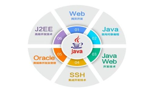 從入門到退坑 IT行業五大崗位全解析，軟件開發是否最賺錢？