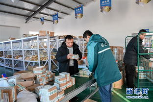 打造產業園區，賦能農產品銷售，構建電子商務新生態