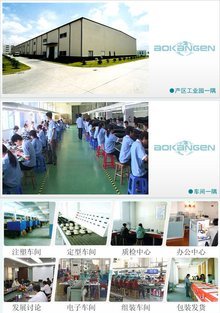 奧康恩的電子商務經營之道 創新、整合與可持續發展